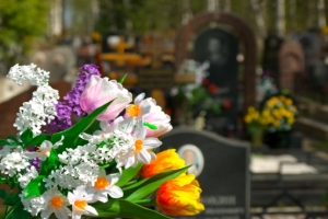 Flowers and cemetery on background